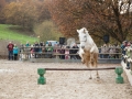 Kesselmuehle_Festival_2014_026