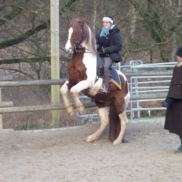 Dressurlehrgänge 2015 auf der Kesselmühle