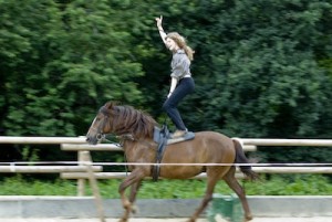 Stehen im Galopp