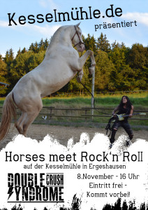 Horses meet Rock'n Roll