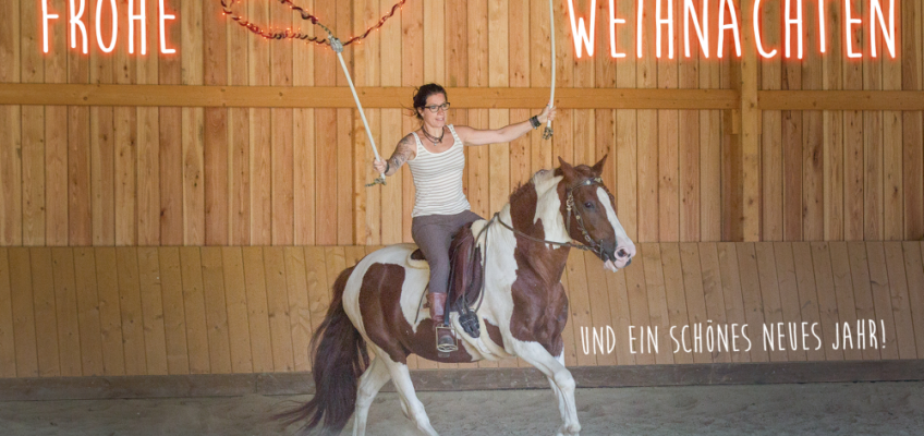 Frohe Weihnachten wünsch die Kesselmühle
