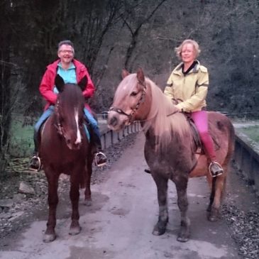 REITEN LERNEN KANN JEDER !!!
